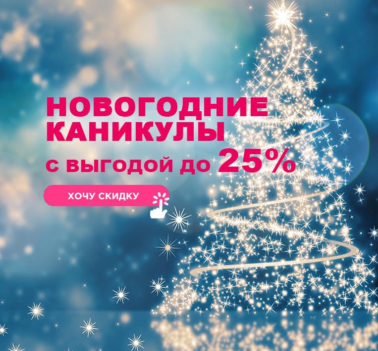 Новый год и новогодние каникулы с выгодой до 25%!